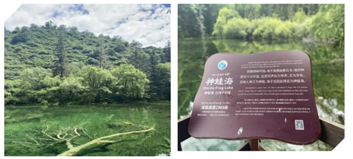 安峰環保旅游.png 安峰環保旅游.png