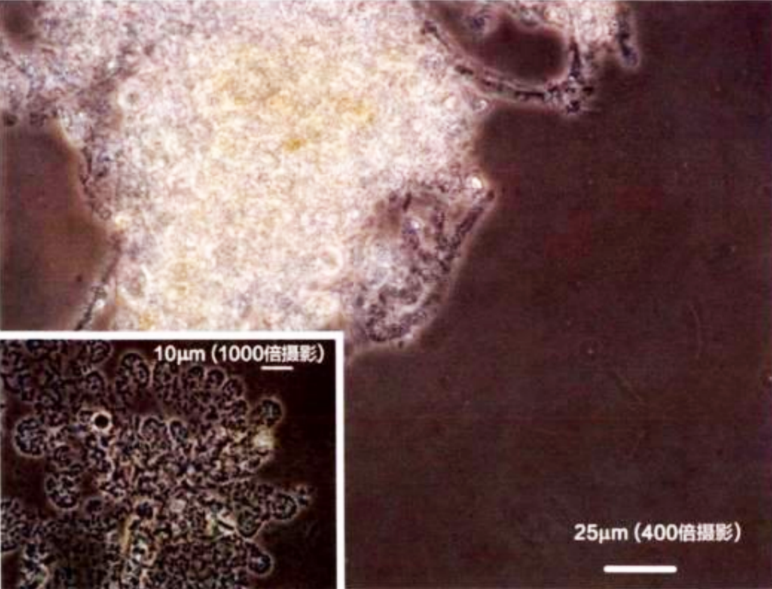 安峰環保.png 安峰環保.png