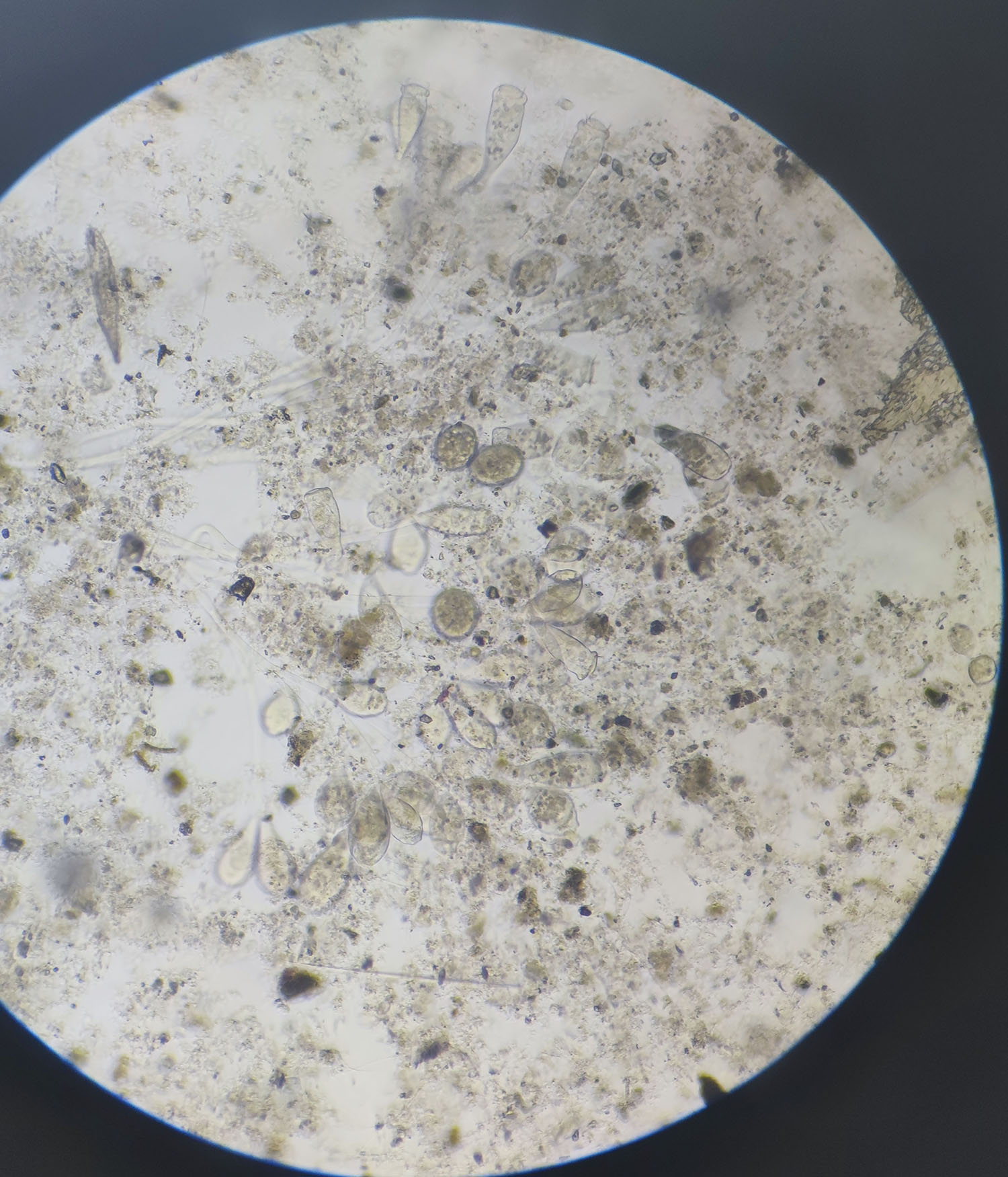 安峰環保.jpg 安峰環保.jpg